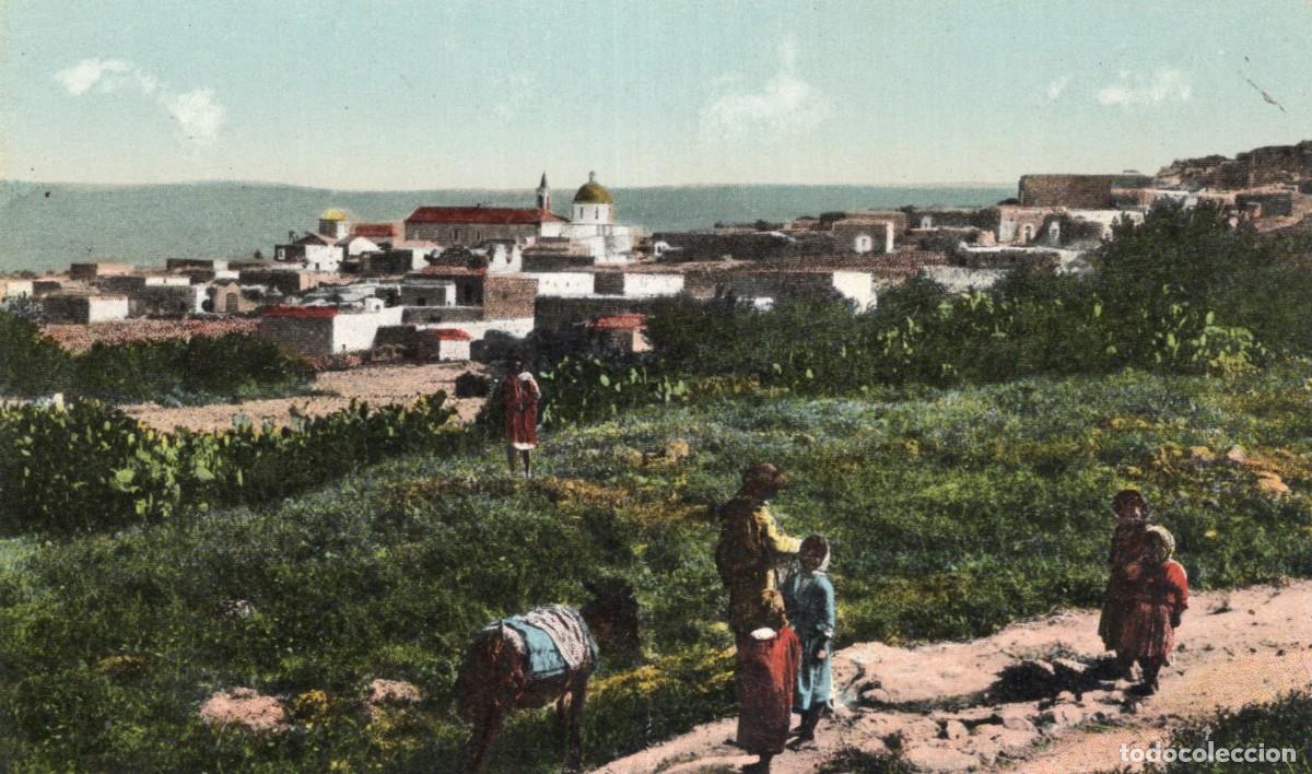 Postales: PALESTINA. CANAAN - Foto 1