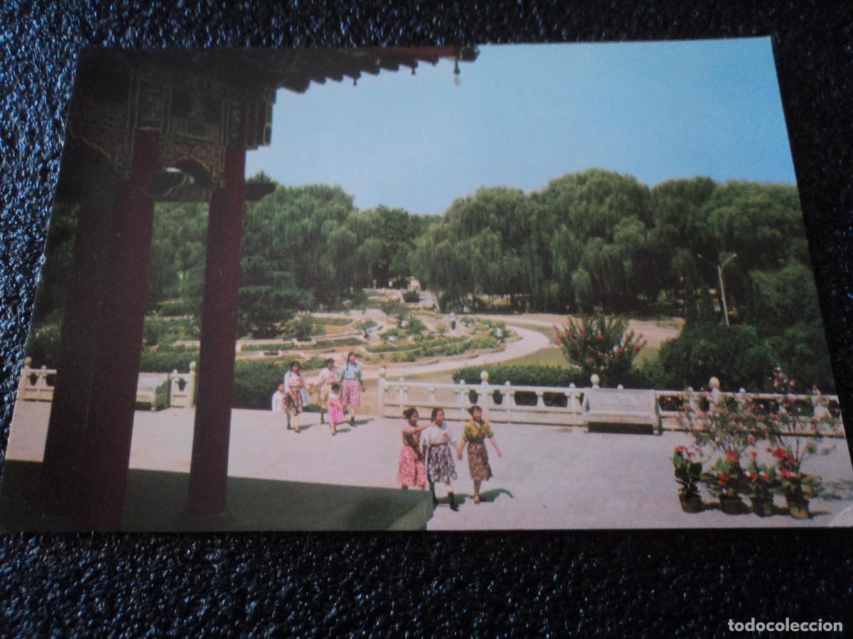 Postales: peony flower beds - Foto 1