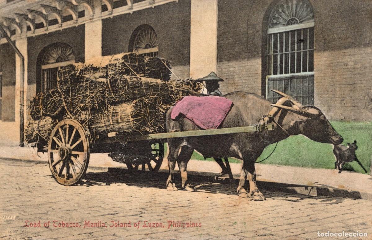 Postales: FILIPINAS. MANILA. CARGA DE TABACO - Foto 1