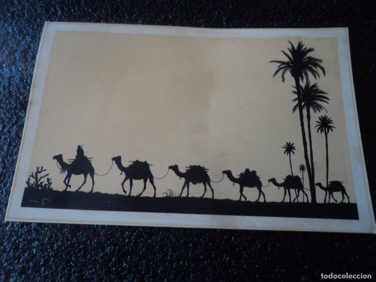 Postales: caravana de camellos, jerusalem - Foto 1