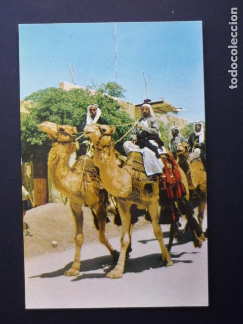 Postales: ISRAEL POSTAL - Foto 1
