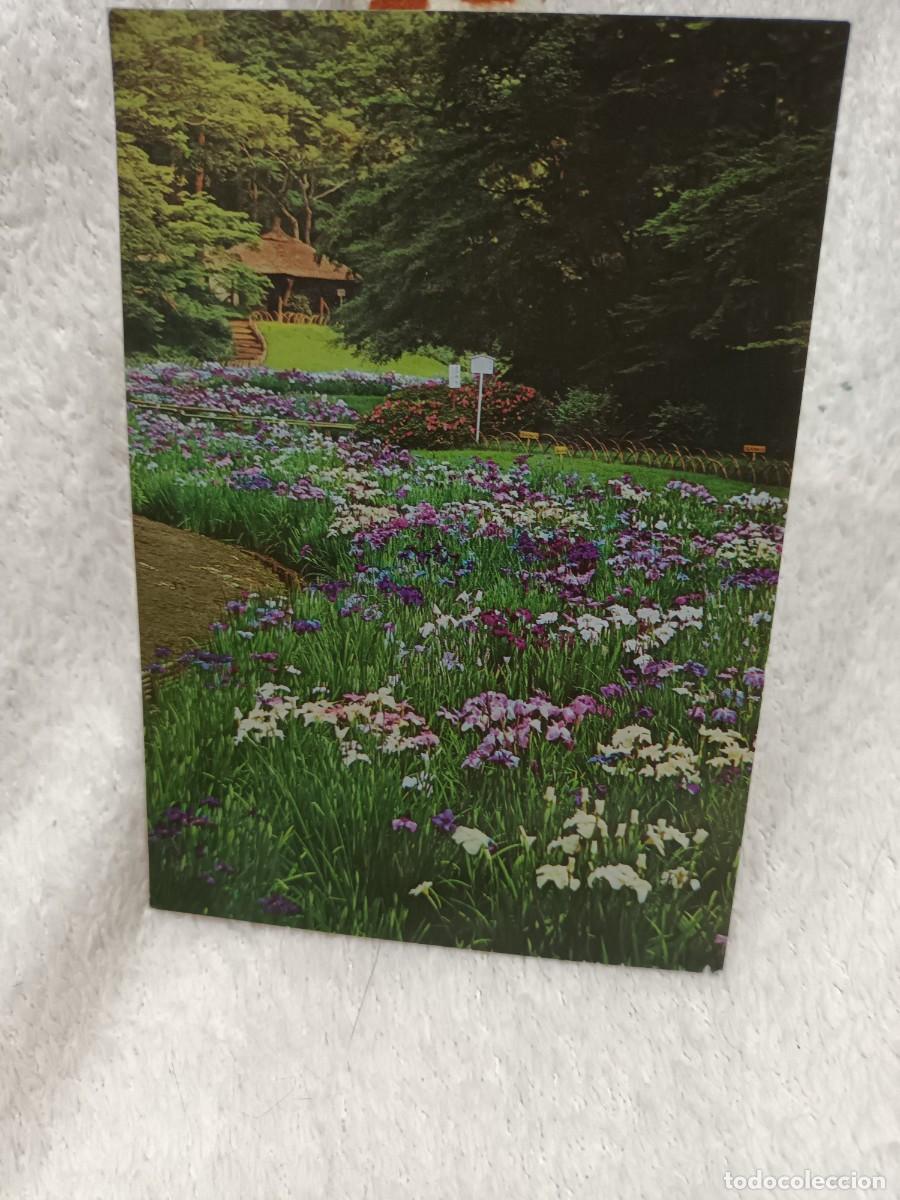 Postales: Postal de Jap&oacute;n: Iris Garden - Foto 1