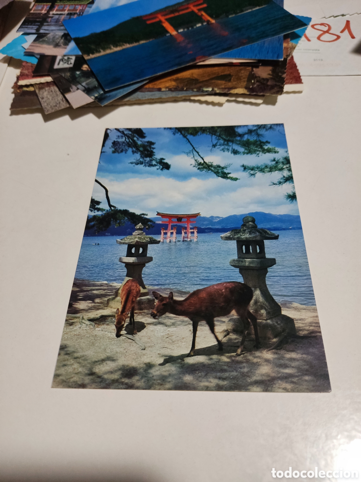 Postales: Postal Jap&oacute;n ciervos - Foto 1