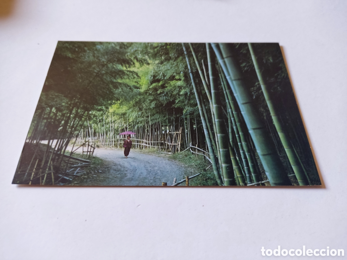 Postales: Postal Jap&oacute;n bamb&uacute; - Foto 1