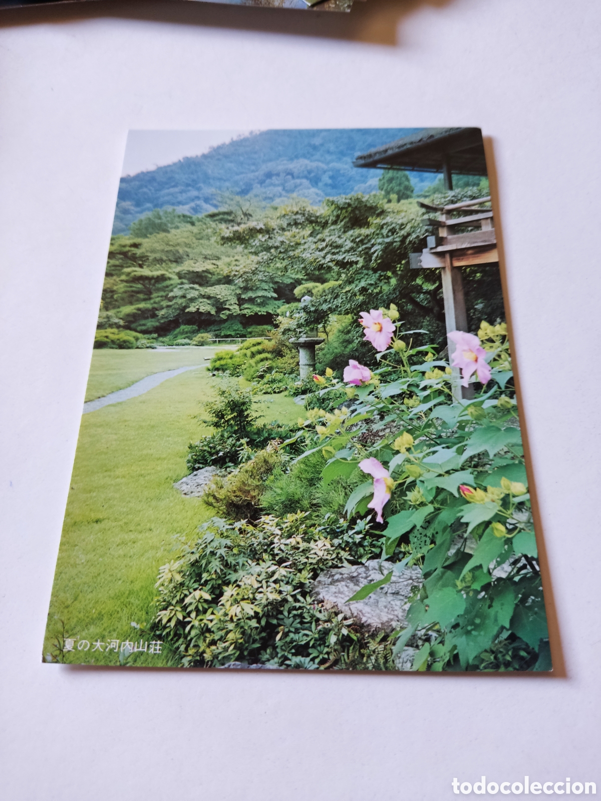 Postales: Postal Jap&oacute;n bosque - Foto 1