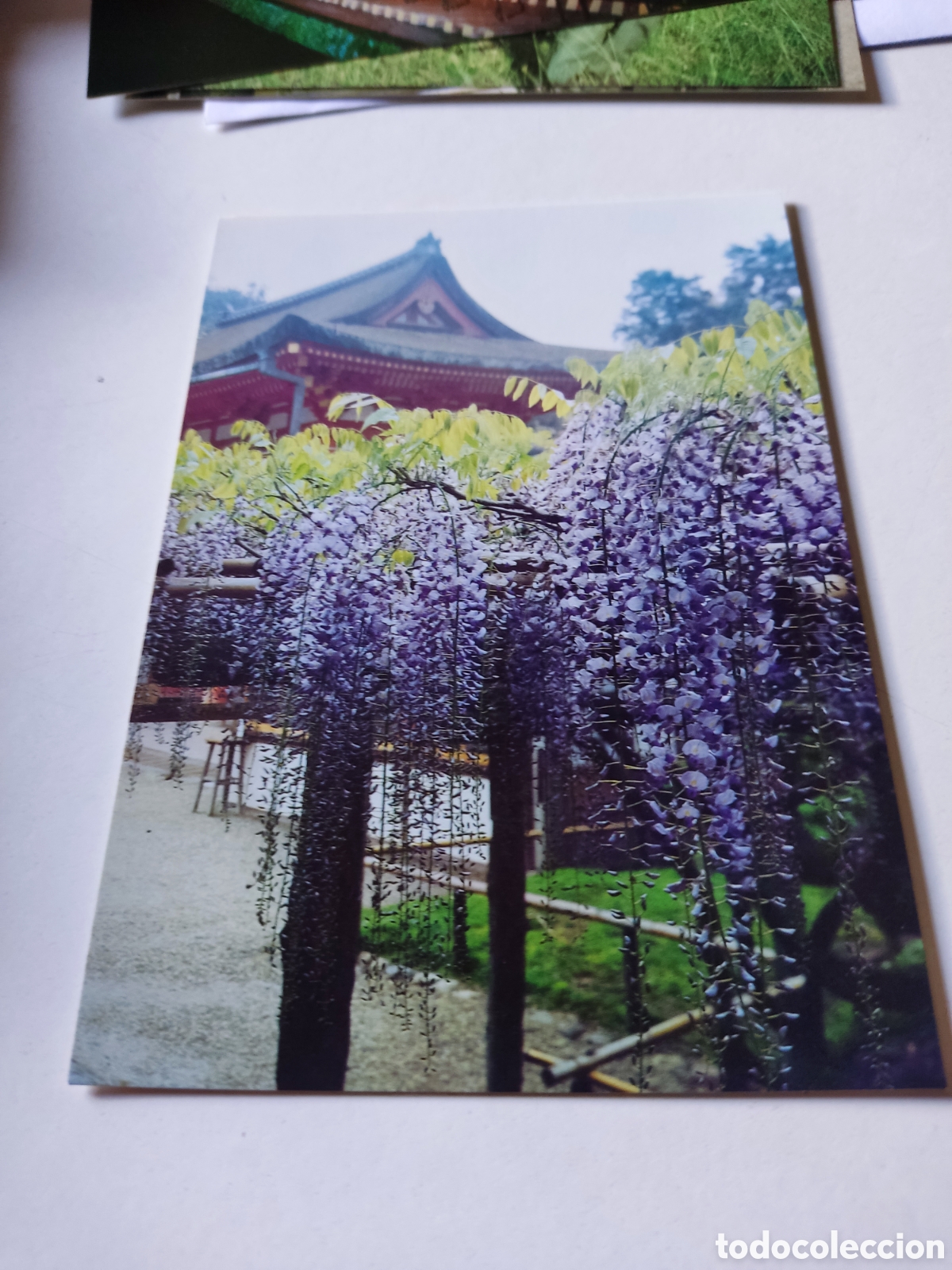 Postales: Postal Jap&oacute;n - Foto 1