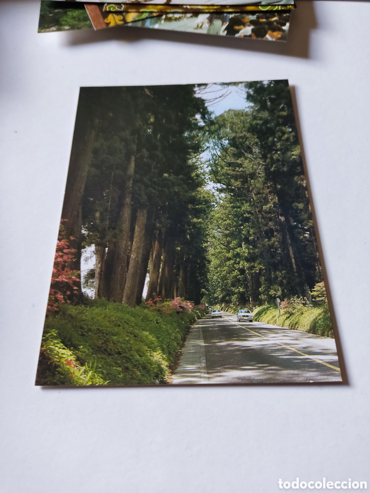 Postales: Postal Jap&oacute;n - Foto 1