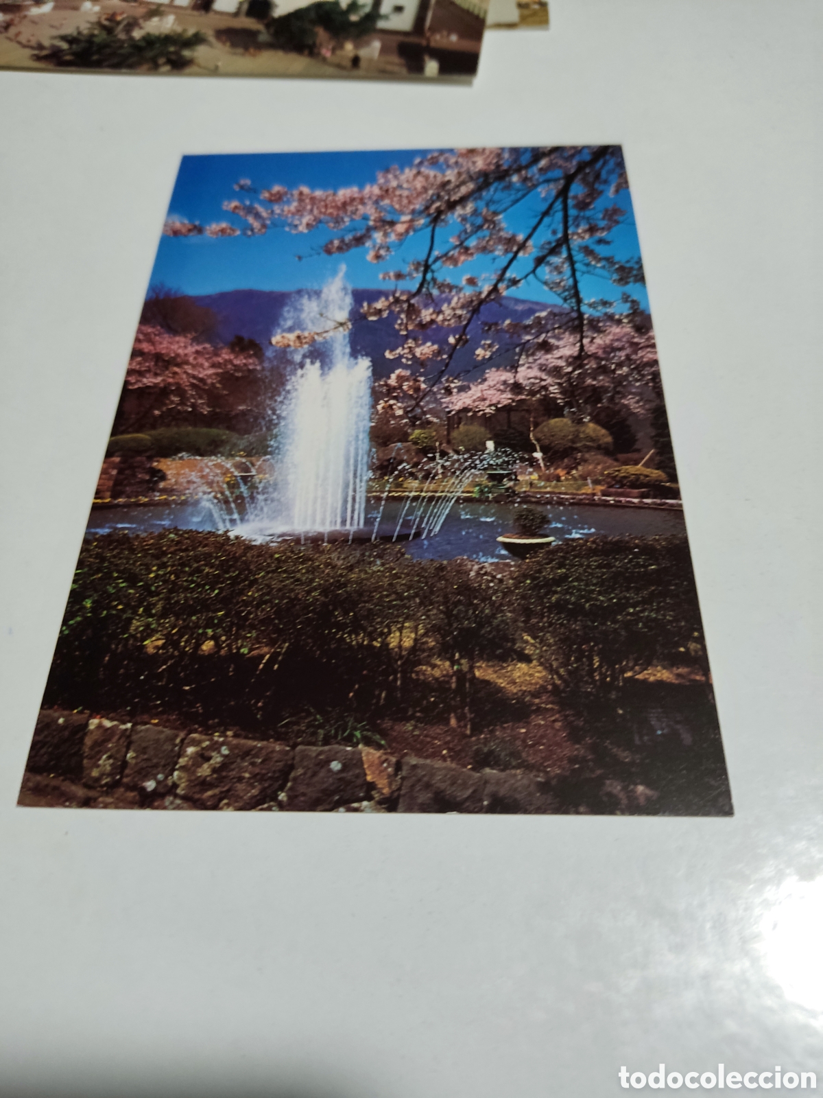 Postales: Postal Jap&oacute;n fuente - Foto 1