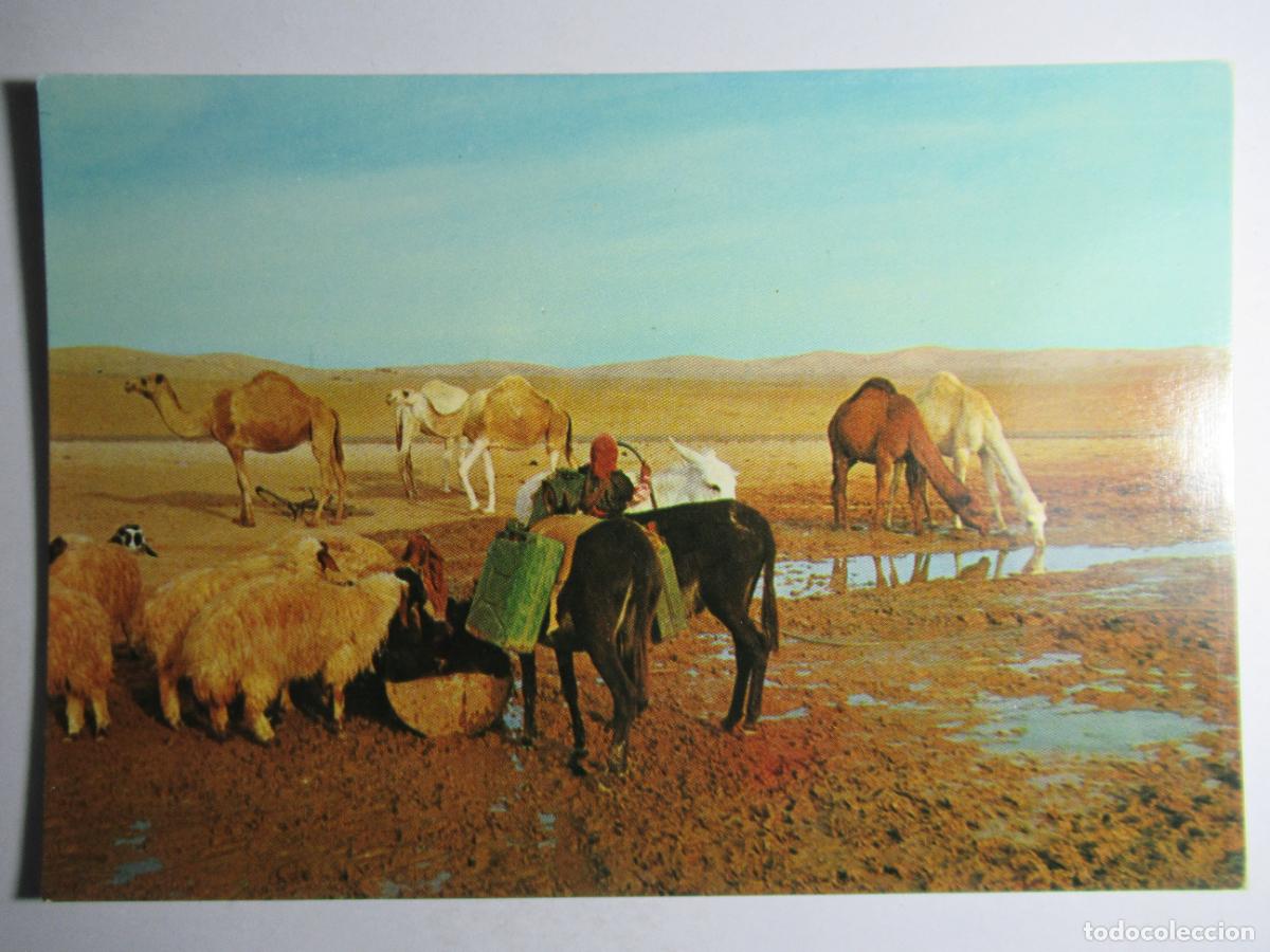Postales: Judean Desert - Foto 1