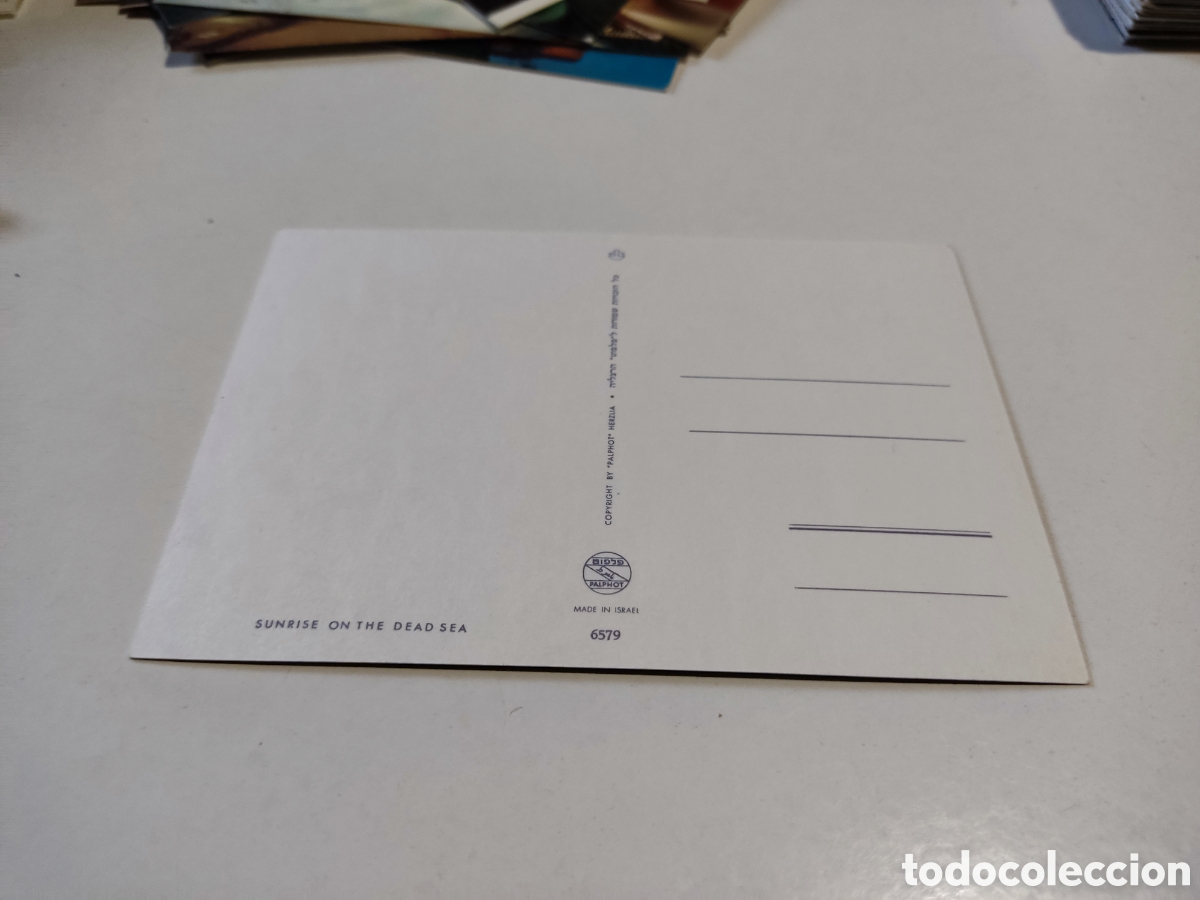 Postales: Postal Israel camellos - Foto 2