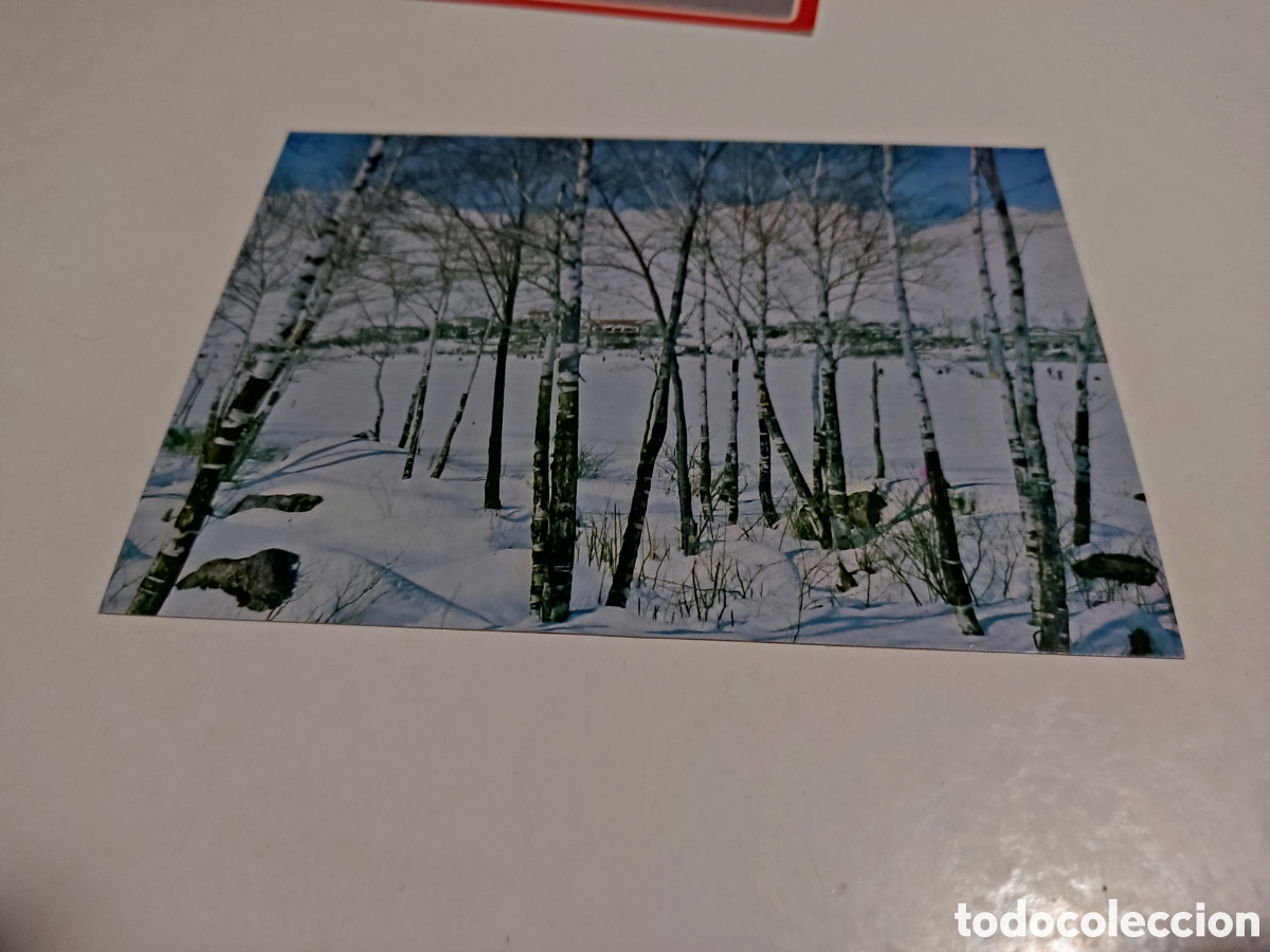 Postales: Postal Jap&oacute;n - Foto 1