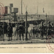 Postales: RARE LES INDIENS ET LEUR MULETS MILITAIRE EDITEUR ELD E L DELEY 191415 WWI WWICOLLECTION