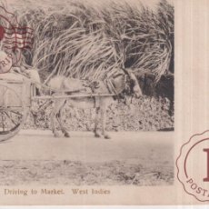 Postales: INDIA. INDE. DRIVING TO MARKET. WEST INDIES.