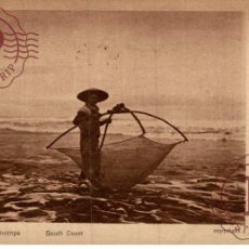 Postales: INDONESIE INDONESIA. JAVANESE FISHING SHRIMPS JAVAAN BIJ DE GARNALENVANGST. SOUTH COAST