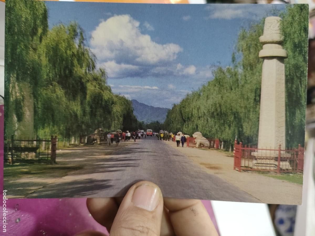 Postales: Postal Divine Road SC - Foto 1