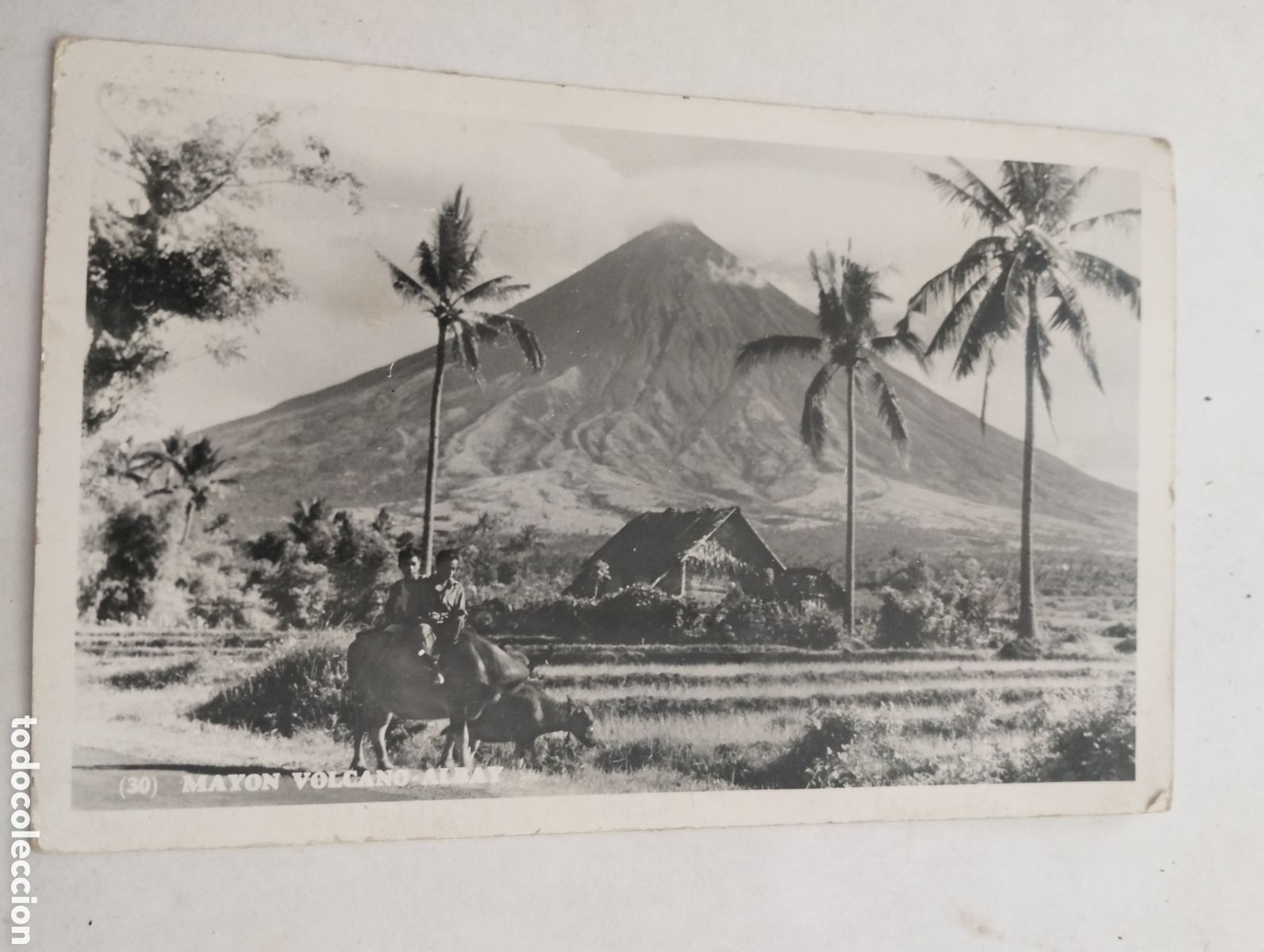 Postales: Postal del Volc&aacute;n Mayon Filipinas - Foto 1