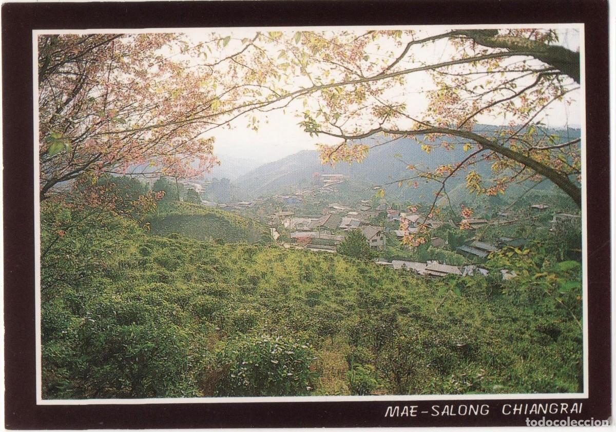 Postales: Tailandia-Mae Salong-sin circular- - Foto 1