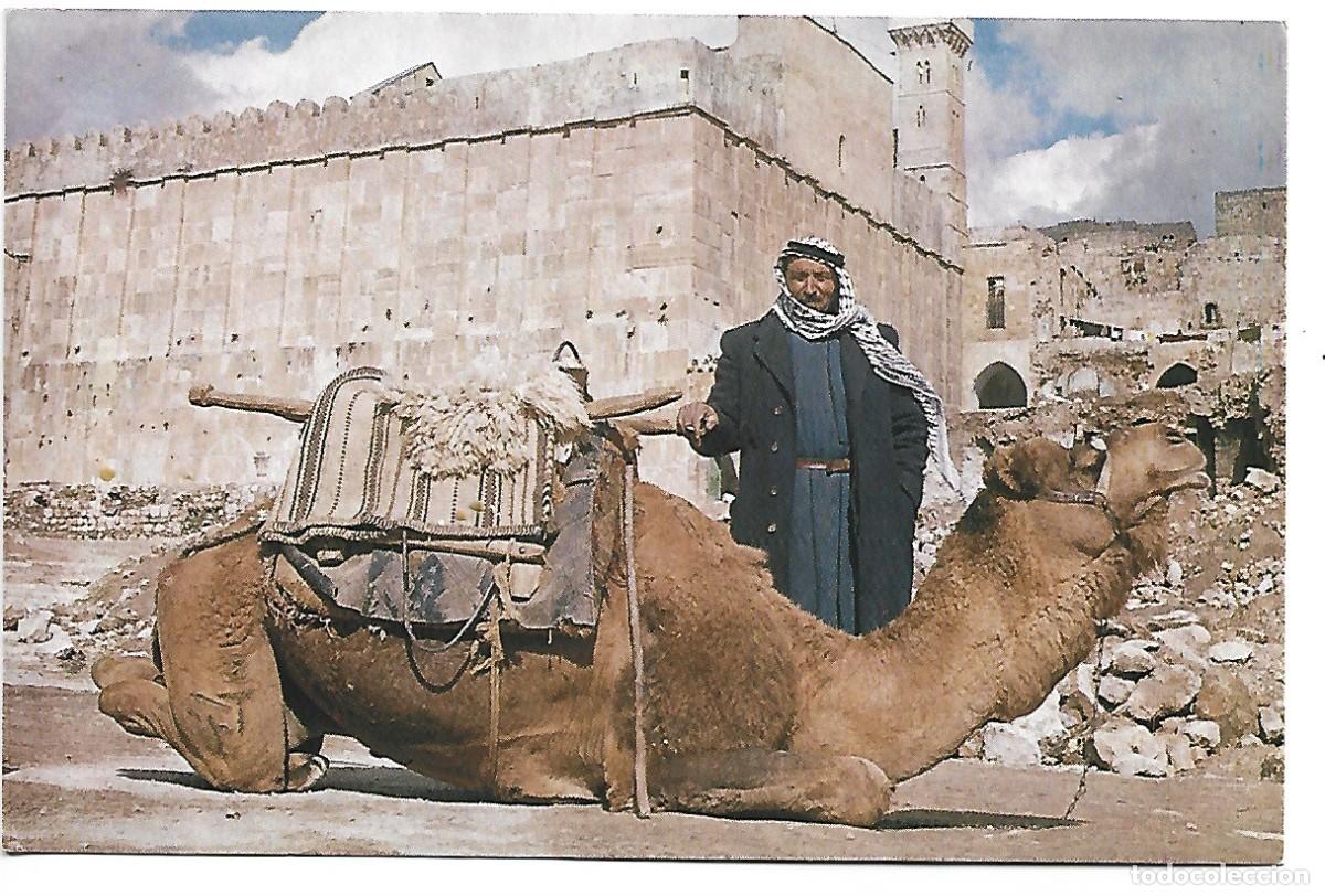 Postales: ABRAHAM MOSQUE.- HEBRON - CISJORDANIA - Foto 1