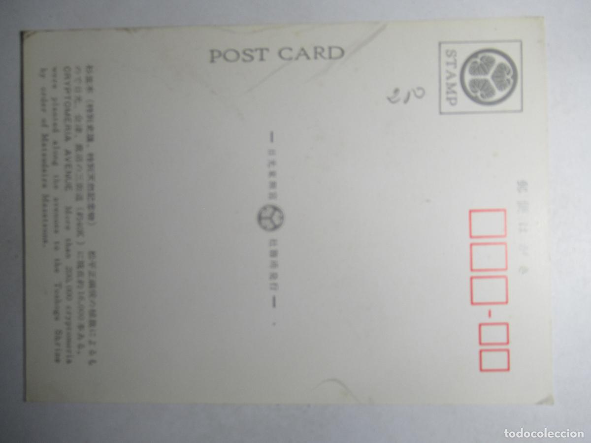 Postales: Postal China - Cryptomeria Avenue - Foto 2