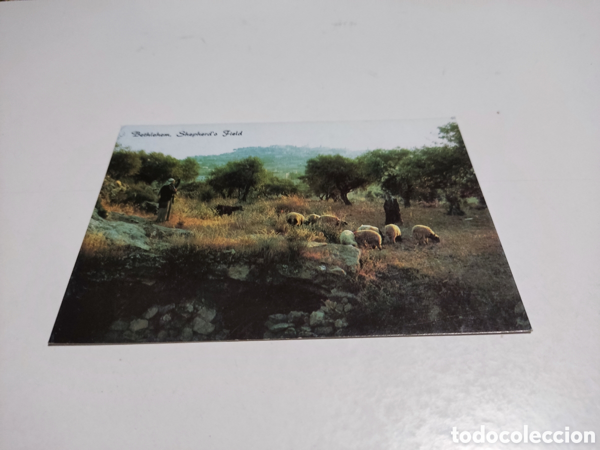 Postales: Postal Bethlehem pastores - Foto 1