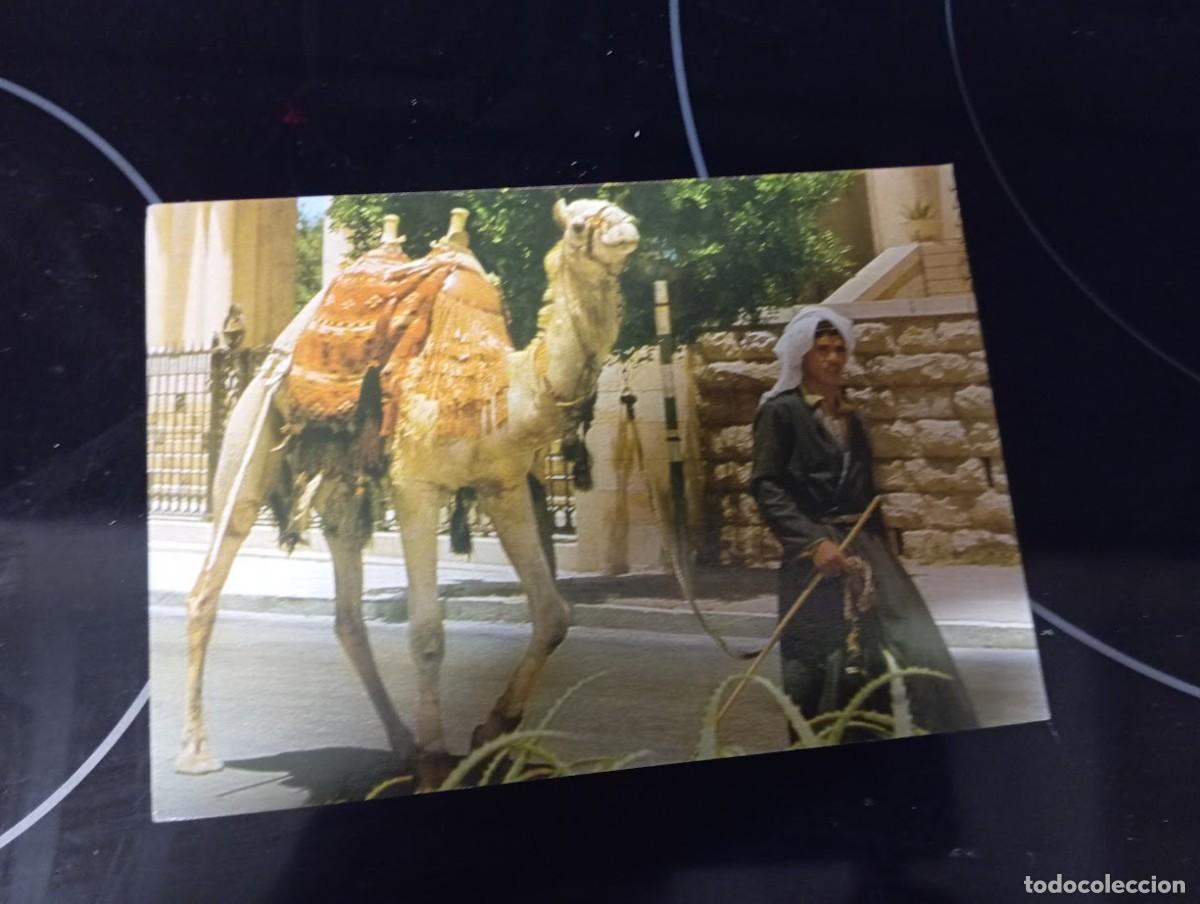 Postales: POSTAL JERUSALEM //////////// - Foto 1