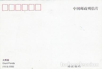 Postales: China Y Maxima, Panda Gigante 2000 (6689) - Foto 2