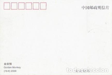 Postales: China Y Maxima, Mono Dorado 2000 (6688) - Foto 2