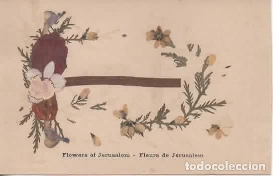Postales: SIRIA DAMASCUS DAMASCO GATE - Foto 2
