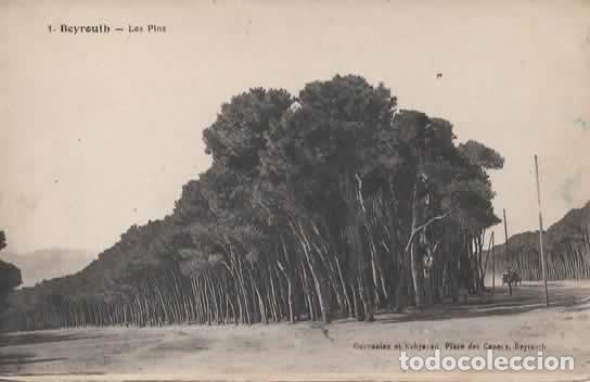 Postales: LIBANO BEYROUTH PLACE DES CANORS - Foto 1