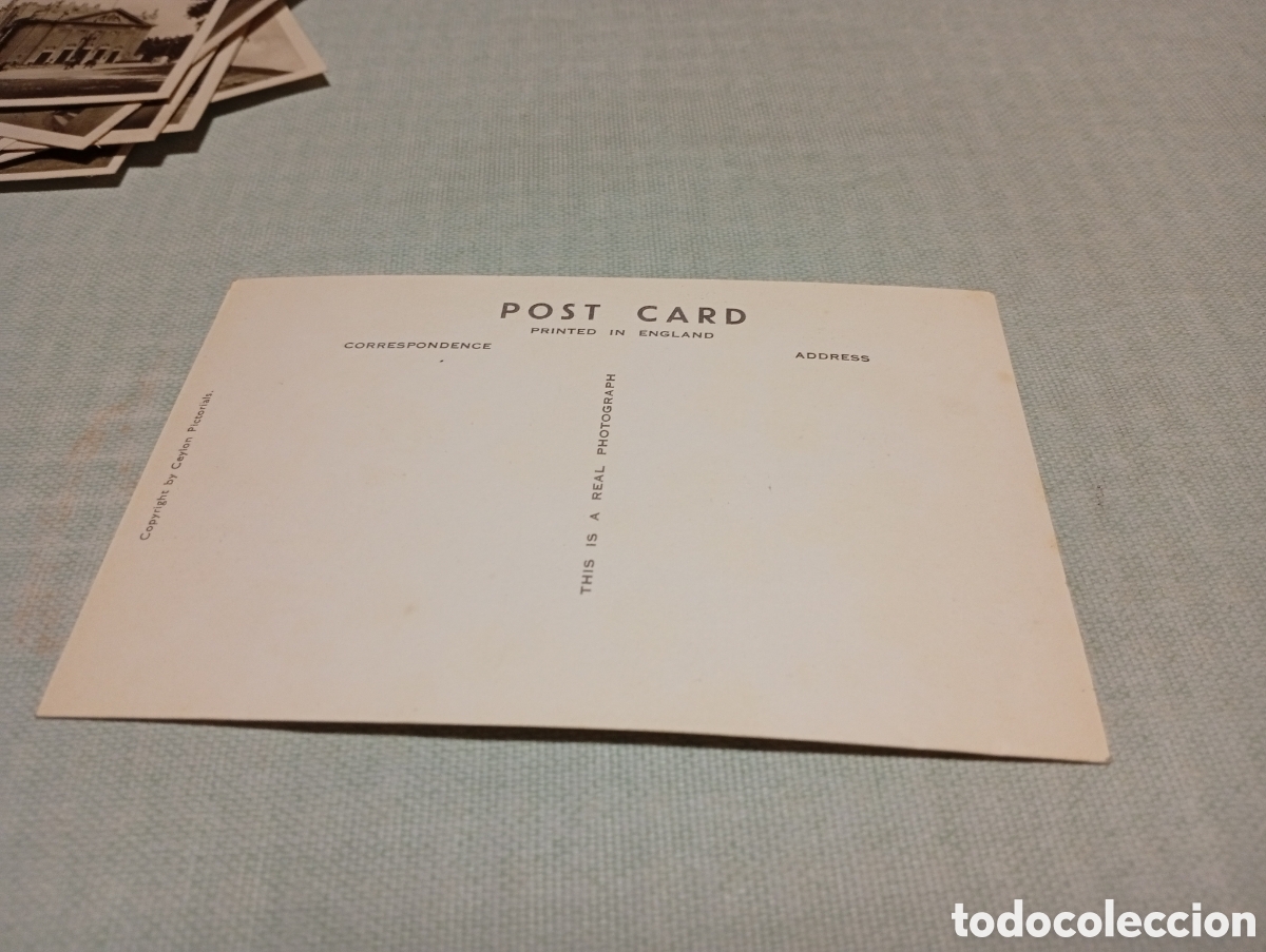 Postales: Postal Ceylan mujer recolectando t&eacute; - Foto 2