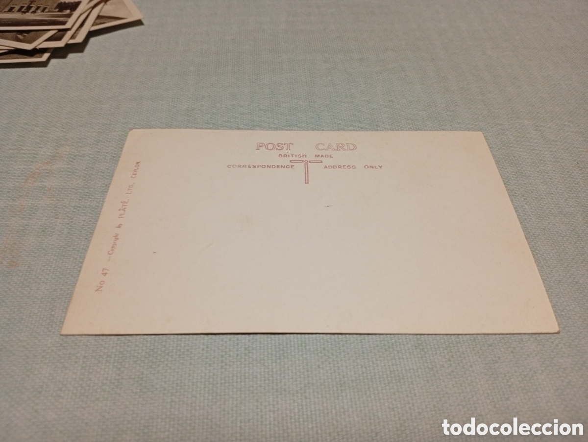 Postales: Postal carro de bueyes,y conductor, Ceylan - Foto 2