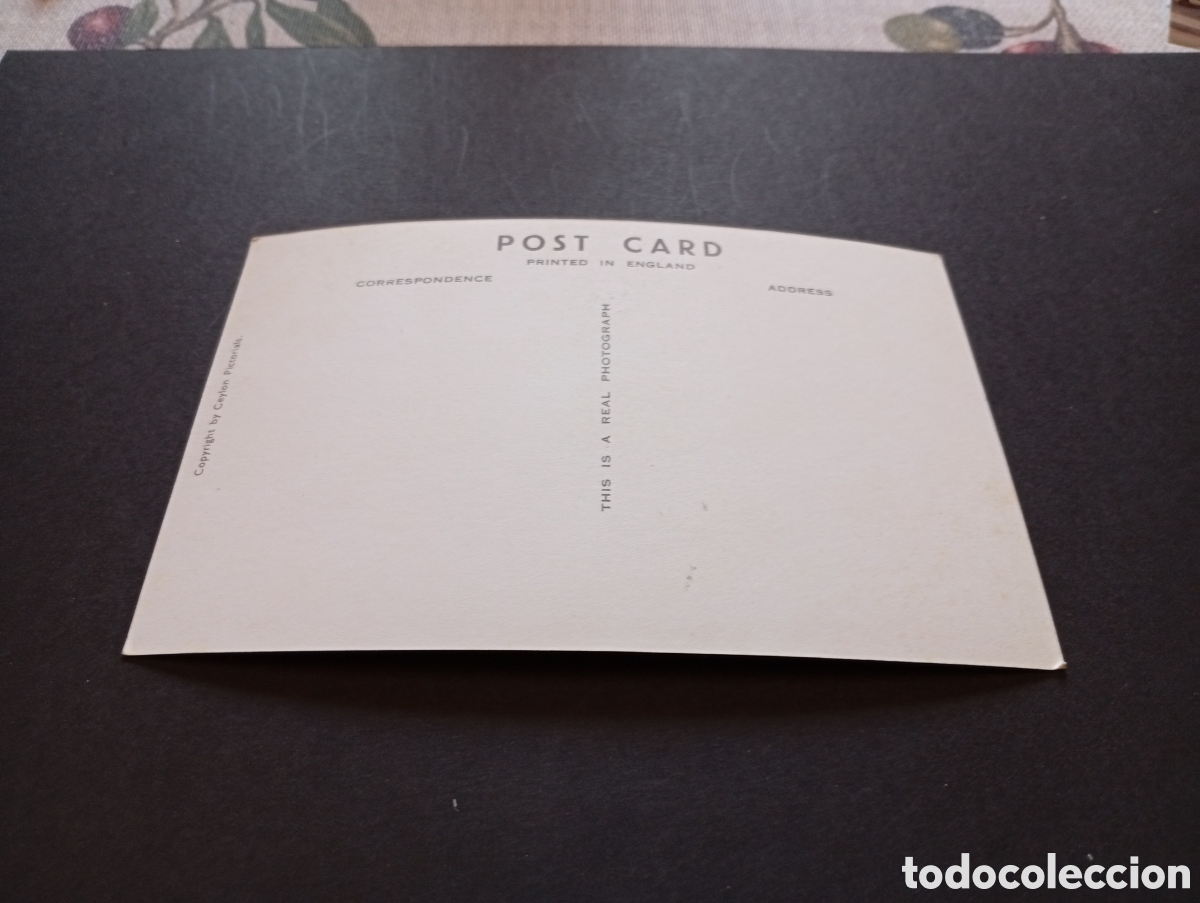 Postales: Postal estatua de Buda, Colombo Ceylan - Foto 2