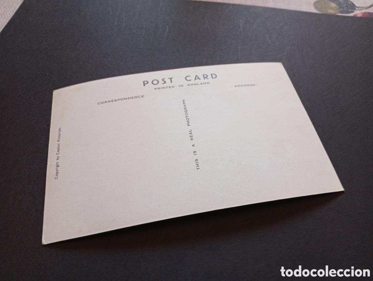 Postales: Postal Buda,templo,Colombo, Ceylan - Foto 2