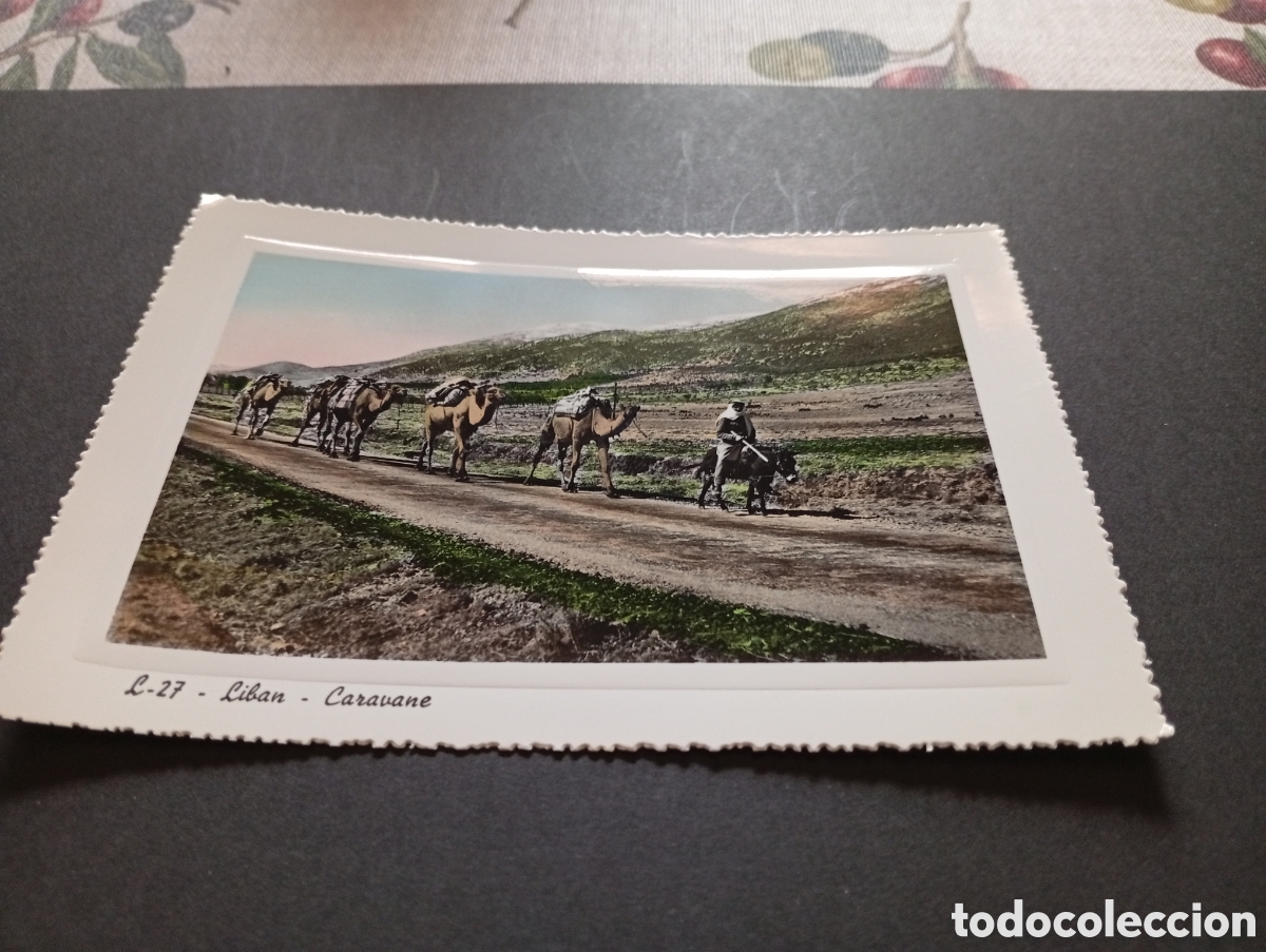 Postales: Postal L&iacute;bano caravana - Foto 1