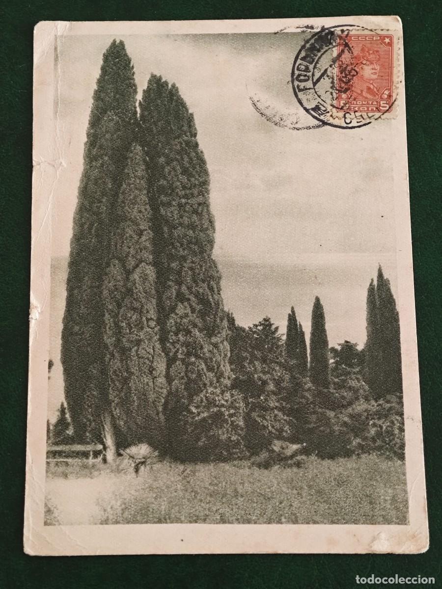 Postales: Postal antigua de rusia urss - Foto 1