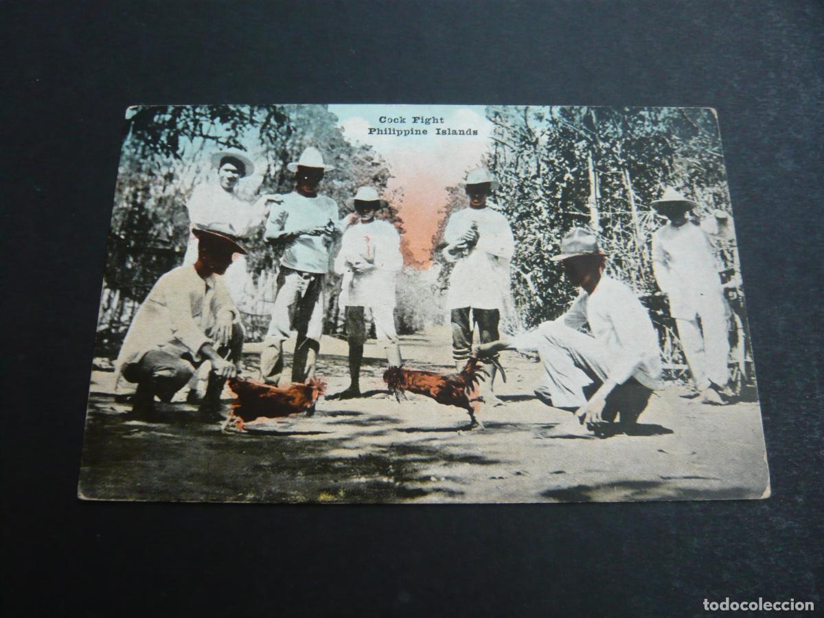 Postales: FILIPINAS PELEA DE GALLOS - Foto 1