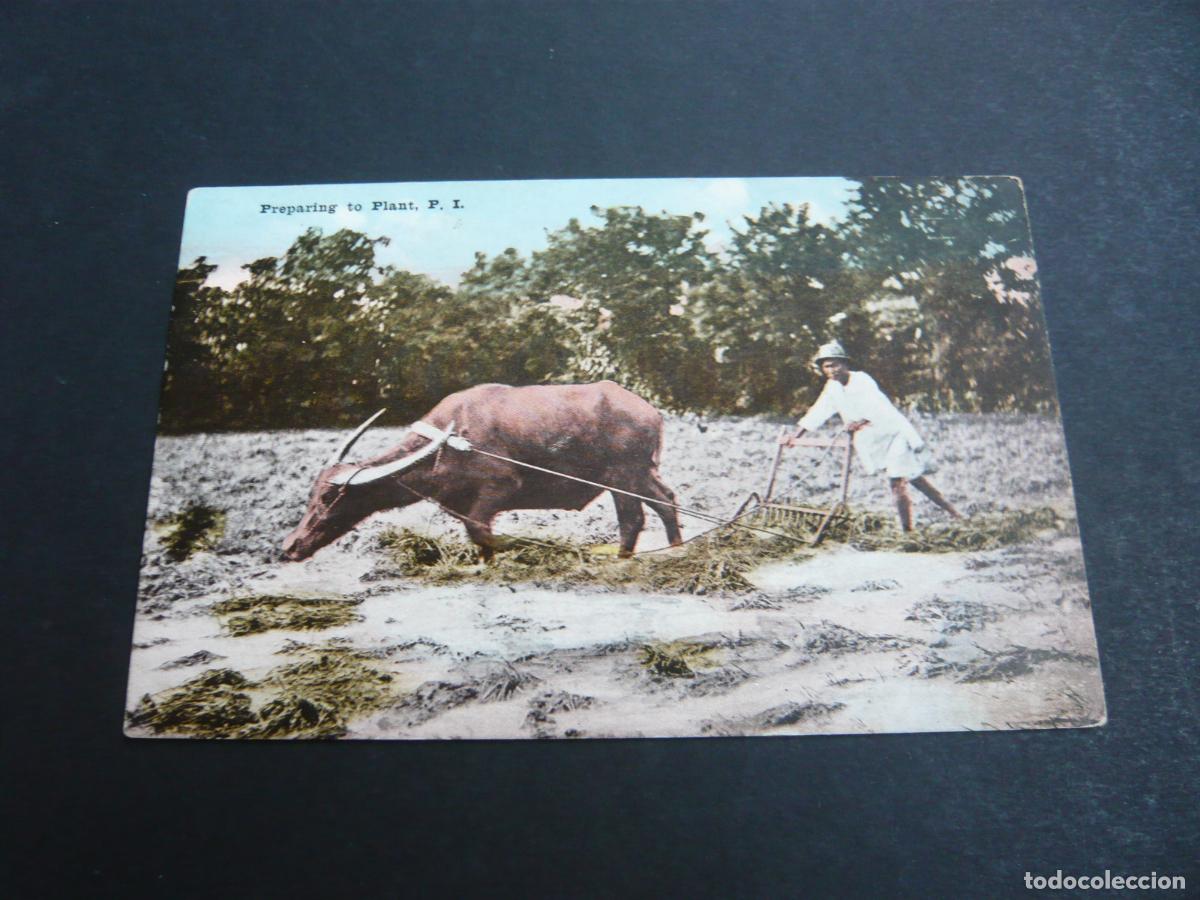 Postales: FILIPINAS PREPARANDO LA PLANTACION - Foto 1