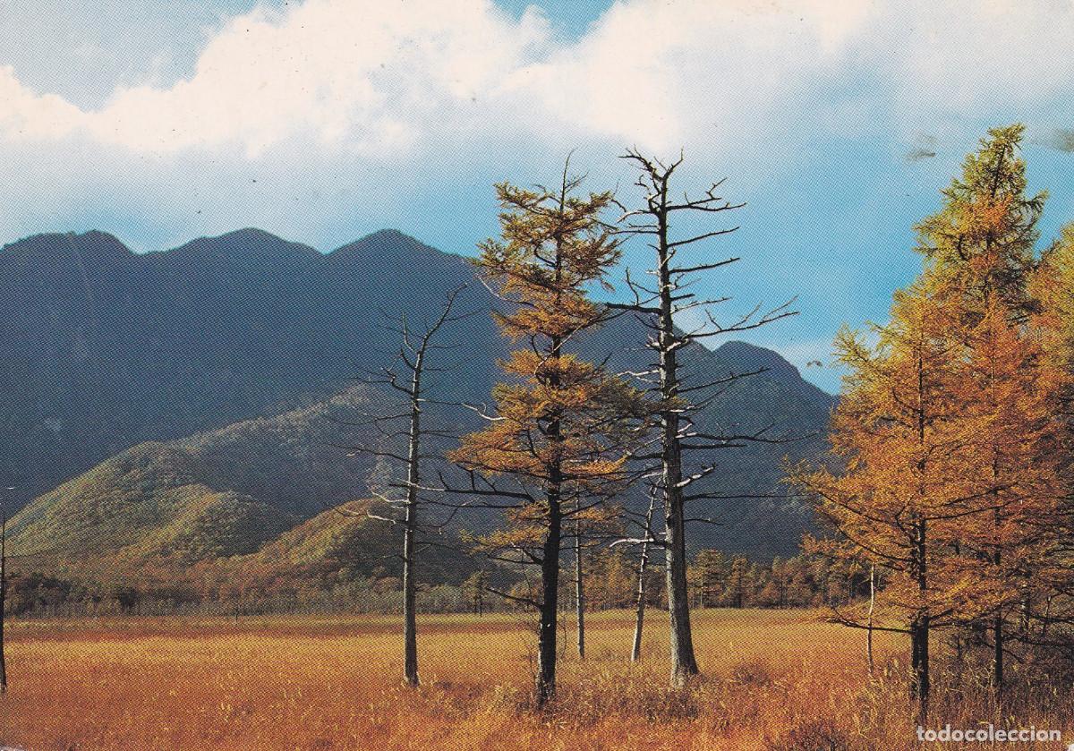 Postales: JAPON SENJO-GAHARA POSTAL - Foto 1