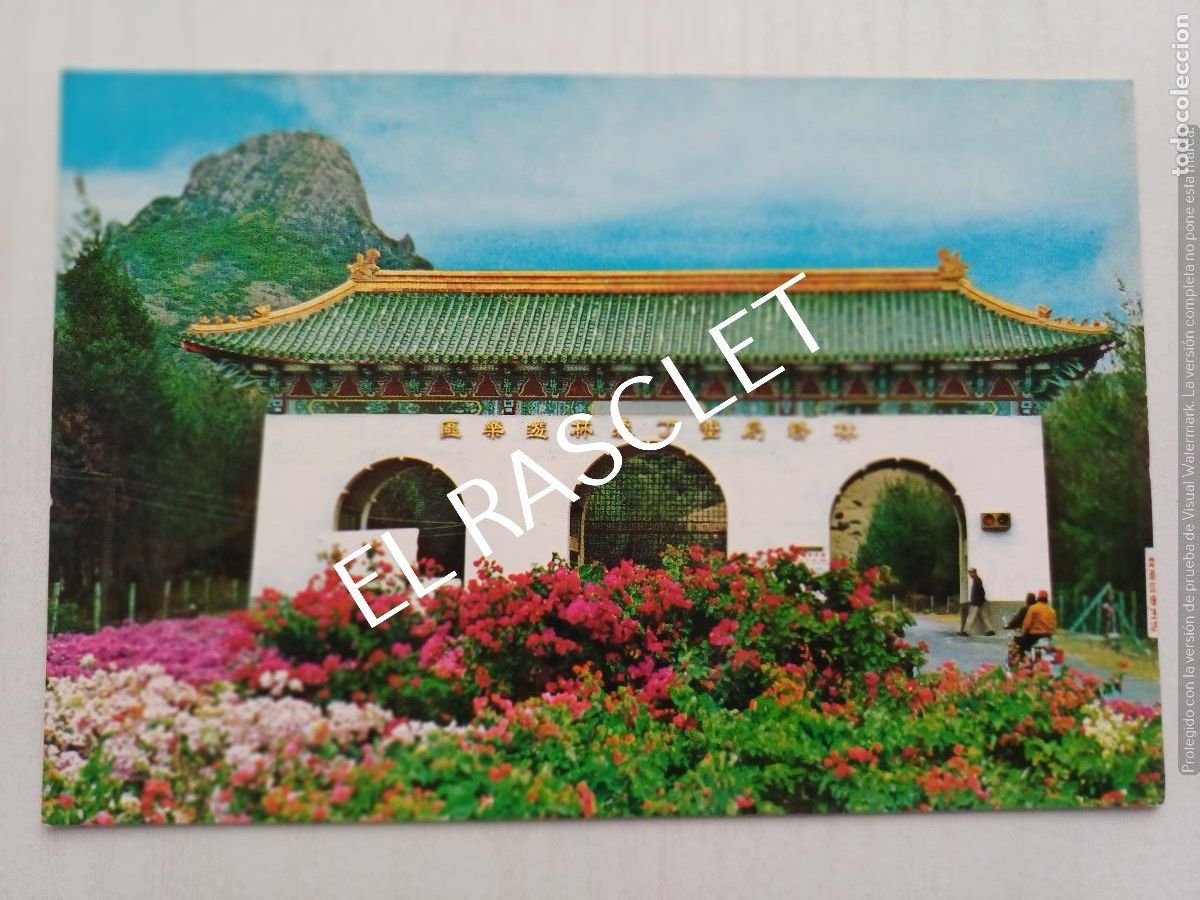 Postales: POSTAL - TROPOCAL FOREST PARK - SIN CIRCULAR - - Foto 1