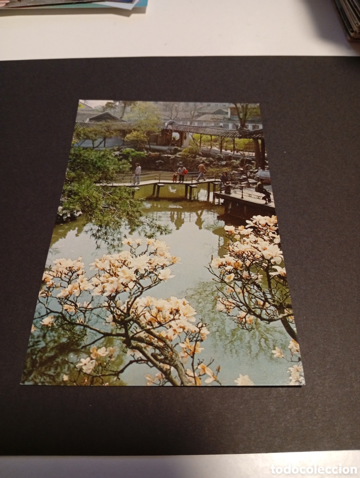 Postales: Postal asi&aacute;tica jard&iacute;n - Foto 1