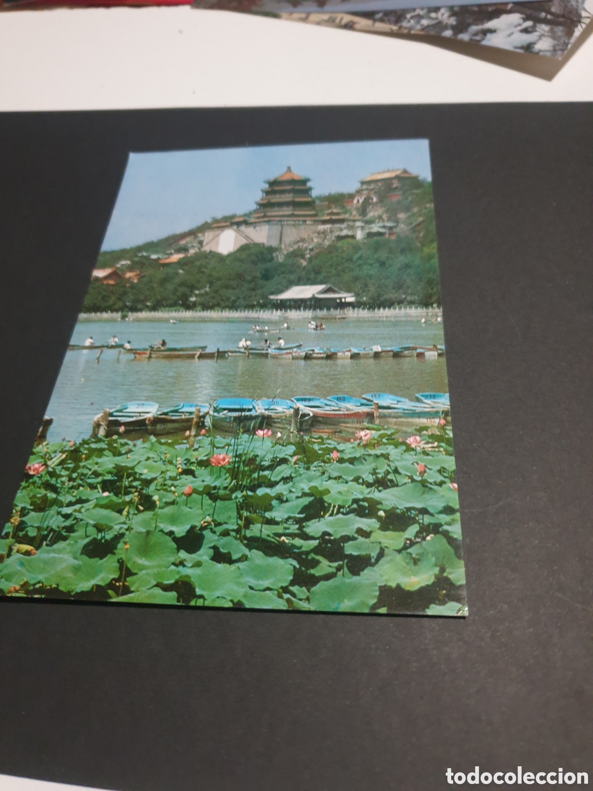 Postales: Postal China Palacio - Foto 1