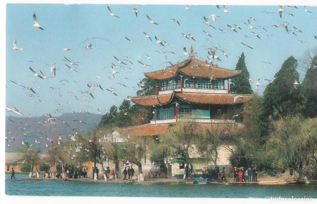 Postales: China-Kumming-circulada - Foto 1