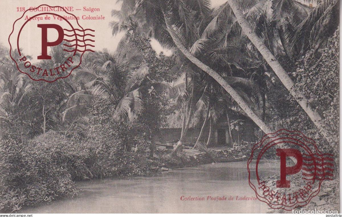 Postales: COCHINCHINE. SAIGON. APERCU DE VEGETATION COLONIALE - Foto 1