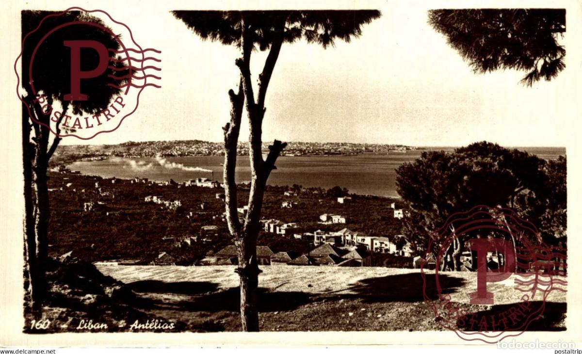 Postales: LIBANO. LIBAN. ANTELIAS. - Foto 1