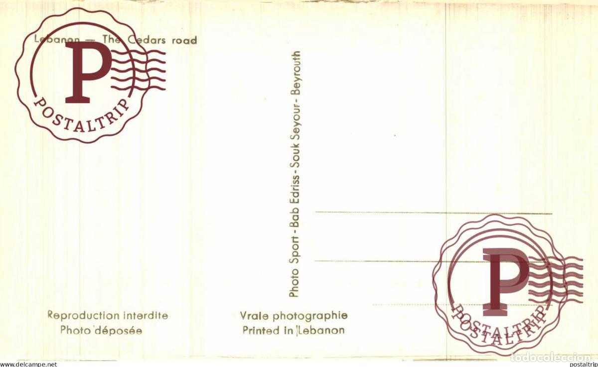 Postales: LIBANO. LIBAN. Chtaura - La route des C&egrave;dres - Foto 2