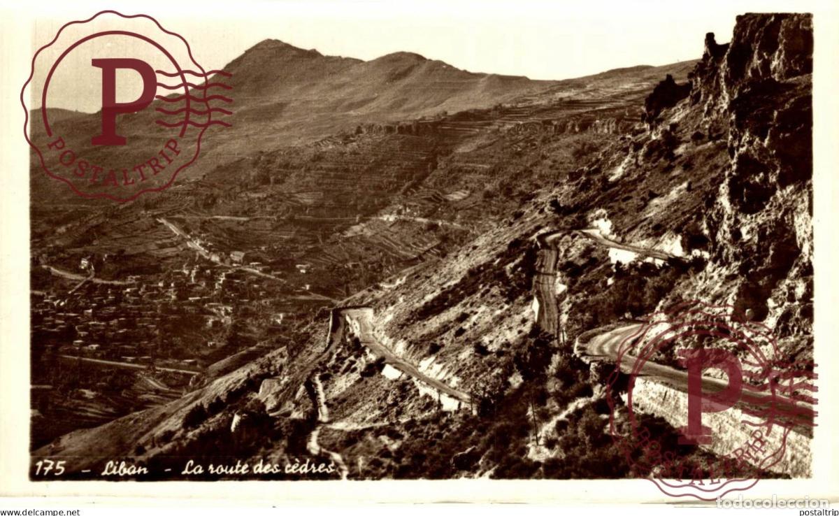 Postales: LIBANO. LIBAN. Chtaura - La route des C&egrave;dres - Foto 1