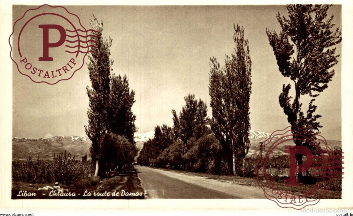 Postales: LIBANO. LIBAN. Chtaura - La route de Damas - Foto 1