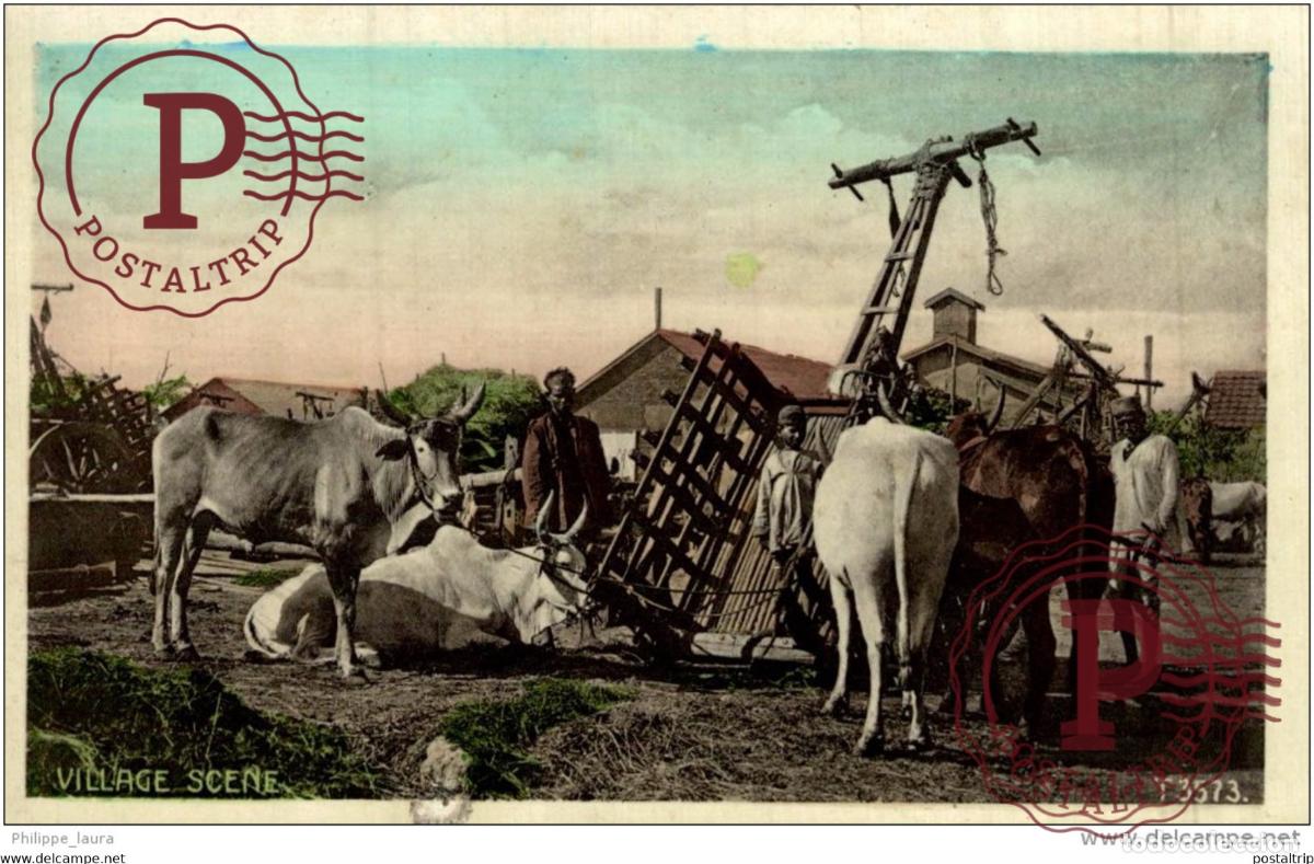 Postales: INDIA. VILLAGE SCENE - Foto 1