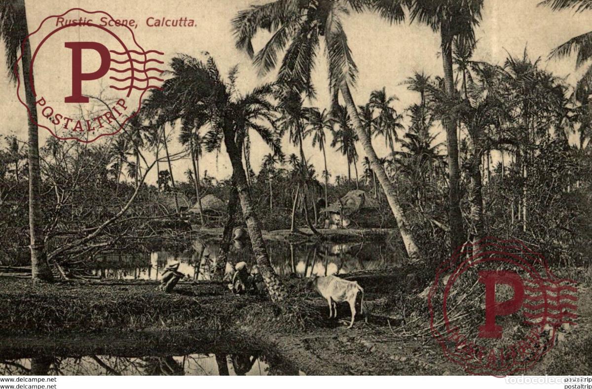 Postales: RUSTIC SCENE CALCUTTA INDIA - INDE. . - Foto 1