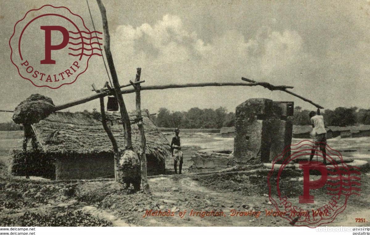 Postcards: DRAWING WATER FROM WELL METHADS OF IRRIGATION INDIA ASIA INDE INDIEN